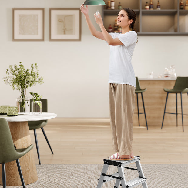 2-Step Folding Aluminium Ladder – Silver Grey and Ink Black – Lightweight Multi-Purpose Design
