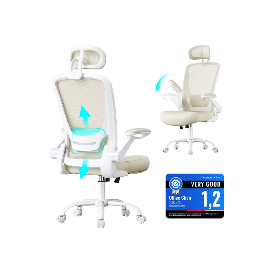 Ergonomic Office Chair – Mesh – Black – Adjustable Lumbar Support, Folding Armrests, 360° Swivel