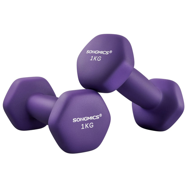 Dumbbells Set – Hexagonal – Blue – 4 kg Each for Home Workout and Fitness Training