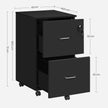 Locking File Cabinet – Metal – Black – 2 Drawers for Home Office